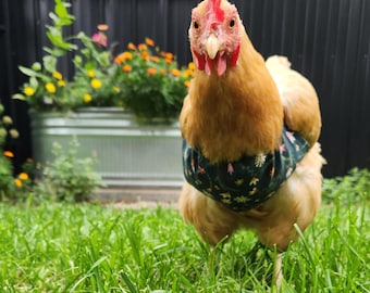Poultry / chicken bra for pendulous crop / stomach support