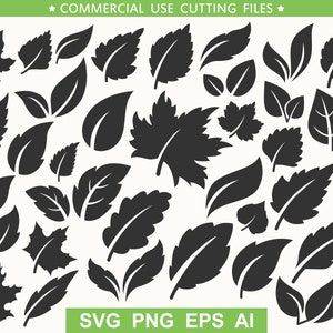 Leaves svg Leaf svg Botanical svg Greenery svg Greenery clipart Branch clipart Leaf clipart Botanical clipart Botanical png Leaf vector