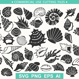 May include: A collection of 30 black and white silhouette images of seashells. The images are in various shapes and sizes, including scallop, conch, and nautilus shells.