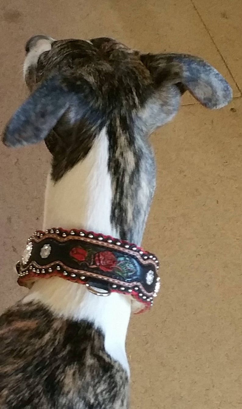 Puede incluir: Un perro blanco y negro con un collar de estampado floral rojo, negro y blanco. El collar tiene pedrer&iacute;a y una hebilla plateada.