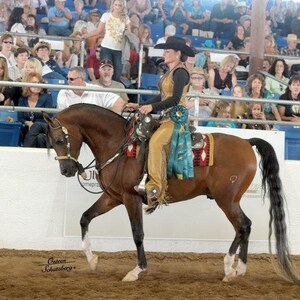 Puede incluir: Una mujer con un atuendo de estilo vaquero marr&oacute;n y blanco monta un caballo marr&oacute;n con una larga cola negra. El caballo lleva una manta de silla de montar turquesa y blanca y una cinta turquesa. La mujer lleva un sombrero turquesa y blanco y una cinta turquesa y blanca alrededor de la cintura. El caballo est&aacute; en un ring de exhibici&oacute;n con una multitud de personas mirando.