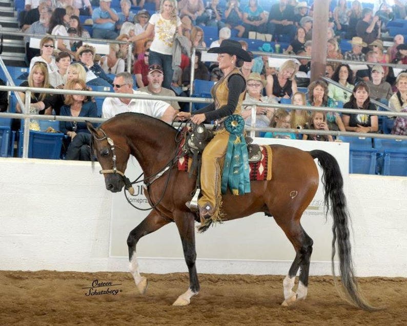 Puede incluir: Una mujer con un atuendo de estilo vaquero marr&oacute;n y blanco monta un caballo marr&oacute;n con una larga cola negra. El caballo lleva una manta de silla de montar turquesa y blanca y una cinta turquesa. La mujer lleva un sombrero turquesa y blanco y una cinta turquesa y blanca alrededor de la cintura. El caballo est&aacute; en un ring de exhibici&oacute;n con una multitud de personas mirando.