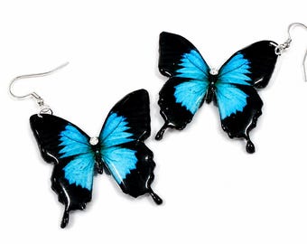 Turquoise Butterfly Drop Earrings: Recycled Tin Can Nature Gift