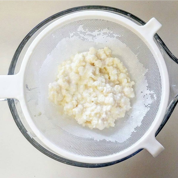 Milk Kefir Grains • Ferment A2 Organic milk +  Guide & Recipe eBook- Probiotic Culture Starter