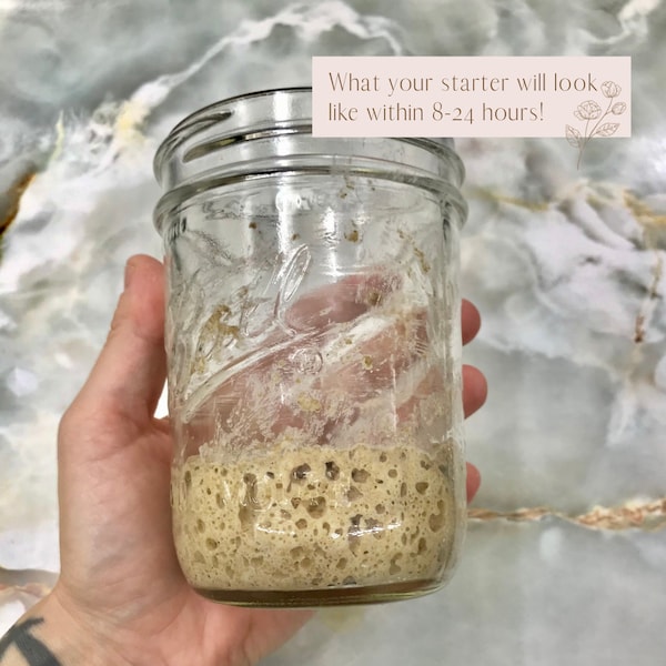 Sourdough Starter {Dehydrated Organic Whole Wheat Flour & Milk Kefir Whey fed!}+ Printed Guide, Beginners Loaf Recipe + Unlimited Coaching