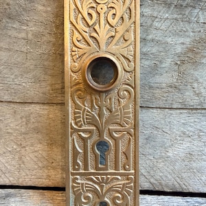 Può includere: Una placca per porta rettangolare in ottone caratterizzata da un intricato motivo in rilievo con disegni floreali e geometrici stilizzati. La placca presenta un foro circolare centrale per la maniglia e un foro per la chiave, con due fori per le viti.