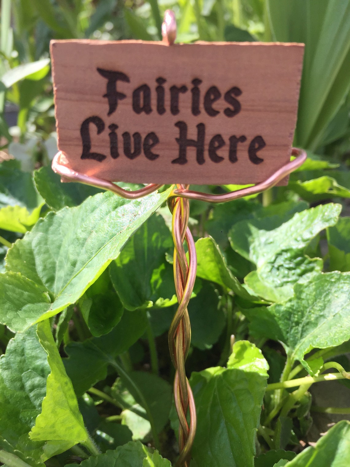 Set of 4 Personalized Herb Garden Sign/Plant Marker/Garden Etsy