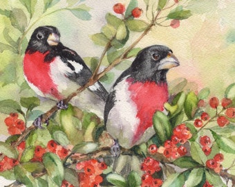 Bird notecards, Watercolor prints, Rose breasted grosbeaks, greeting card ,Square 5.25" unframed print, made in my studio on archival paper.