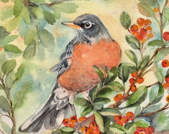 May include: A watercolor painting of a robin perched on a branch with red berries. The robin has a gray head and a bright orange breast. The berries are clustered together on the branch, creating a vibrant contrast against the green leaves.