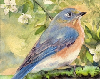 May include: A bluebird perched on a branch with white blossoms. The bird has a blue back, a rust-colored breast, and a white belly. The background is a watercolor painting of green leaves and white flowers.