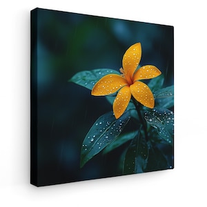 Yellow Orange Rain-Kissed Flower Photography Print, Flower Photography, Floral Art Wall Print
