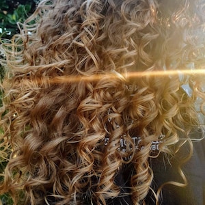 Hair Jelly voluminous styling gel [ fragrance-free holding gel ]