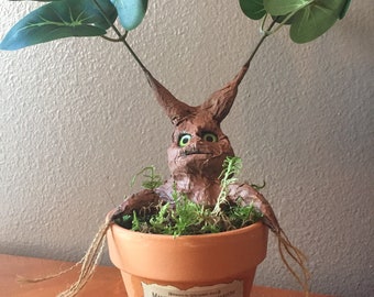 mandrake
