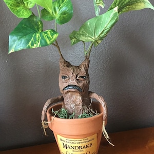 May include: A brown and green potted Mandrake plant with a label that reads "Mandrake (Immature) CAUTION:  Only handle with adequate ear protection.  The cry of a mature Mandrake is fatal, but may protect the drinker of its juice from the effects of Unforgivable Curses."