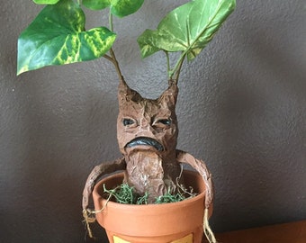 mandrake