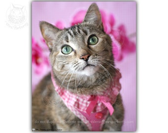 Cat Pink Print, Earth Day, Pink, Cat Art, Gift For Cat Lover, Cat Floral, Cute Cat Print, Adorable Print, Gingham, Bedroom Decor,