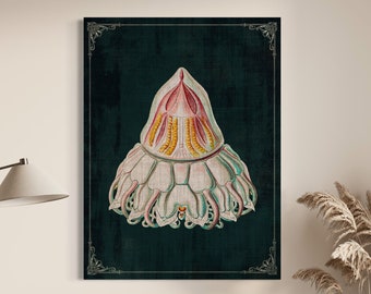 Whimsical Jellyfish Art Moody Boho Colorful Beach House Decor, Coastal Aesthetic Vintage Canvas Wall Print, Jellyfish Ocean Life Artwork