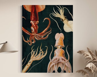 Cephalopod Squid Vintage Dark Academia Canvas Print, Deep Ocean Creature Marine Life Artwork, Moody Colorful Under the Sea Beach House Decor