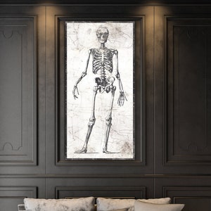 Anatomical Skeleton Vintage Halloween Art, Scientific Medical Illustration Office Wall Decor, Gothic Medieval Human Anatomy Skull Art