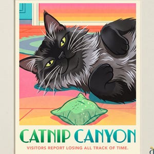 May include: A digital art print titled The Pet Atlas Collection Catnip Canyon featuring a fluffy black cat lying on a pink and orange floor next to a small green pillow. The text reads Catnip Canyon, Visitors report losing all track of time.