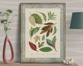 Tropical Leaves Vintage Botanical Illustration Art: Nouveau Wall Art for Boho Eclectic Home Decor, Vibrant Stylish Colorful Large Canvas Art