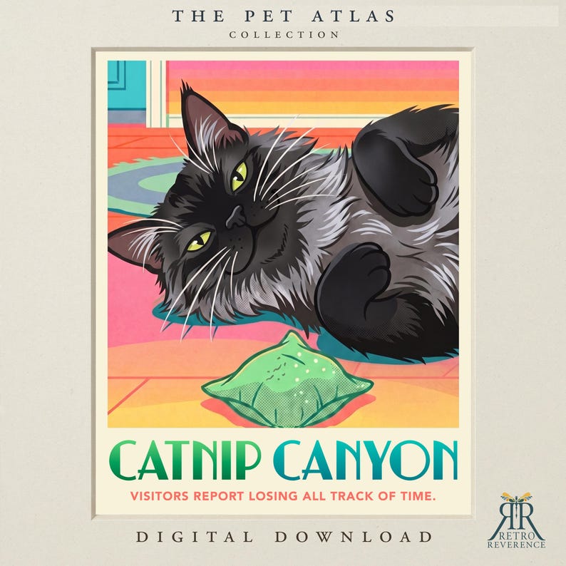 May include: A digital art print titled The Pet Atlas Collection Catnip Canyon featuring a fluffy black cat lying on a pink and orange floor next to a small green pillow. The text reads Catnip Canyon, Visitors report losing all track of time.