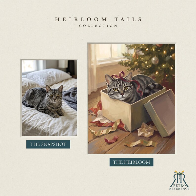 May include: A side-by-side comparison titled HEIRLOOM TAILS COLLECTION. The left panel, THE SNAPSHOT, shows a gray tabby cat on a bed. The right panel, THE HEIRLOOM, is an illustration of the same cat in a gift box with a red ribbon near a tree.