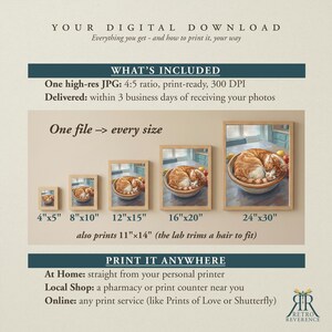 May include: A digital download guide featuring an illustration of an orange tabby cat curled in a bowl. The text includes: YOUR DIGITAL DOWNLOAD, WHAT'S INCLUDED, One high-res JPG: 4:5 ratio, 300 DPI, One file -> every size, 4"x5", 8"x10", 12"x15", 16"x20", 24"x30", 11"x14", PRINT IT ANYWHERE.