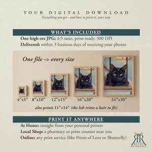 May include: A digital download information graphic featuring a black cat illustration in five different frame sizes from 4x5 inches to 24x30 inches. The text includes 'YOUR DIGITAL DOWNLOAD', 'WHAT'S INCLUDED', 'One file -> every size', and 'PRINT IT ANYWHERE'.