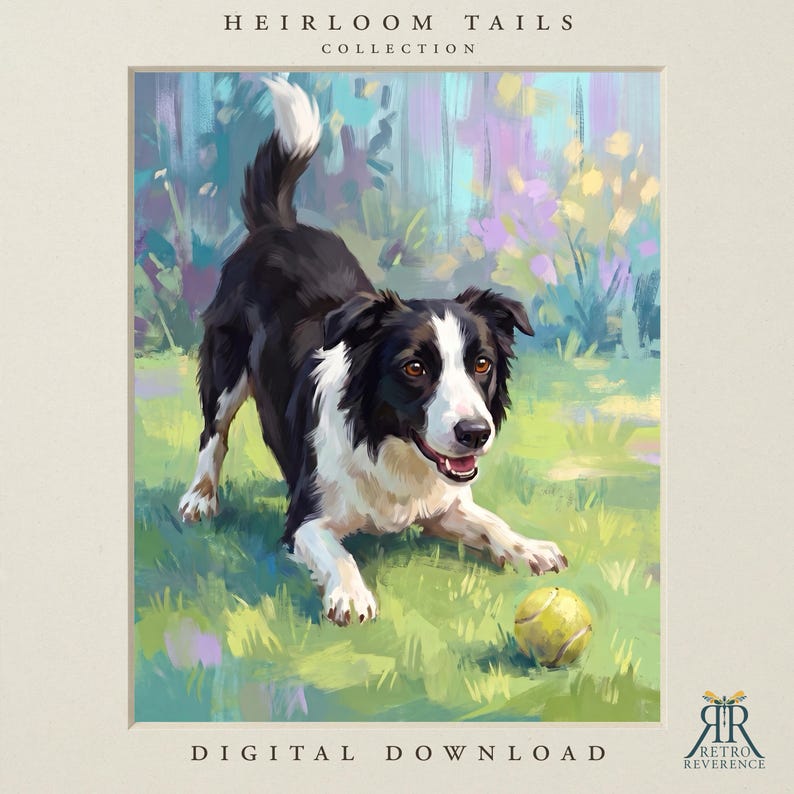 Puede incluir: Una impresi&oacute;n de arte digital titulada Heirloom Tails Collection que muestra un border collie blanco y negro en posici&oacute;n de juego sobre hierba verde con una pelota de tenis amarilla. El texto dice Heirloom Tails Collection y Digital Download.