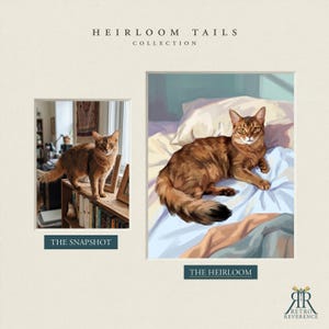 May include: A side-by-side comparison titled HEIRLOOM TAILS COLLECTION. On the left, a photograph labeled THE SNAPSHOT shows a brown cat on a bookshelf. On the right, a digital painting labeled THE HEIRLOOM depicts the same cat resting on a bed.