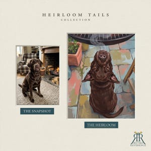 May include: A side-by-side comparison featuring a chocolate Labrador retriever. On the left, a photograph labeled THE SNAPSHOT shows the dog sitting on a rug. On the right, an illustration labeled THE HEIRLOOM depicts the dog looking upward.