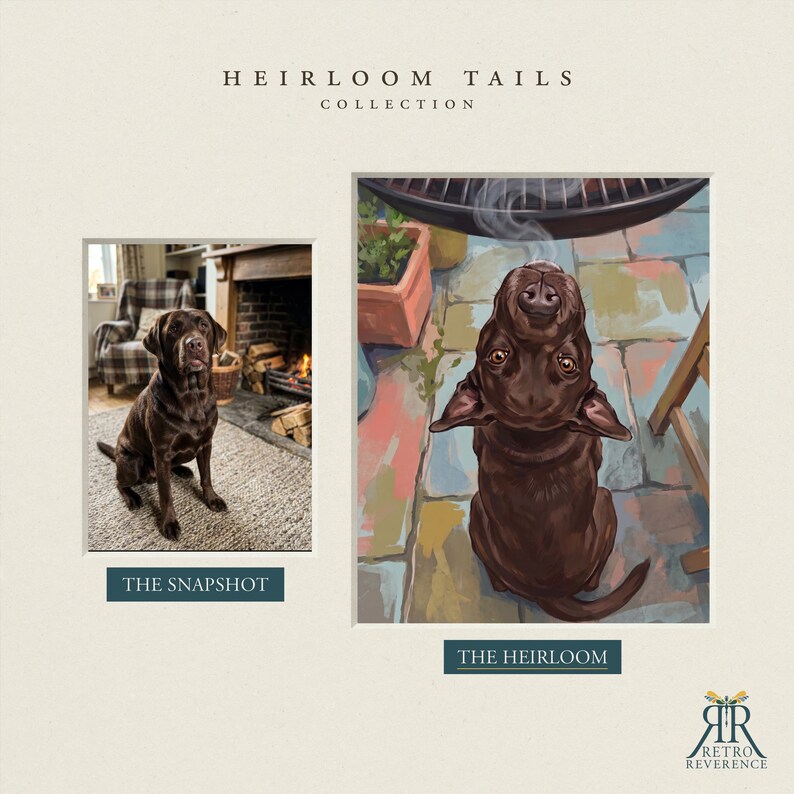 May include: A side-by-side comparison featuring a chocolate Labrador retriever. On the left, a photograph labeled THE SNAPSHOT shows the dog sitting on a rug. On the right, an illustration labeled THE HEIRLOOM depicts the dog looking upward.