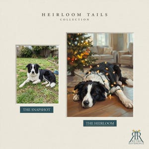 Op de afbeelding: Een vergelijking naast elkaar met de titel Heirloom Tails Collection. De linker afbeelding, The Snapshot, toont een zwart-witte Border Collie op gras. De rechter afbeelding, The Heirloom, is een schilderij van dezelfde hond met lichtjes.