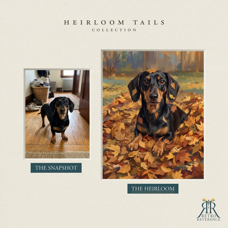May include: A side-by-side comparison titled HEIRLOOM TAILS COLLECTION. On the left, a photograph labeled THE SNAPSHOT shows a black and tan dachshund on a wooden floor. On the right, a painting labeled THE HEIRLOOM depicts the same dog in autumn leaves.