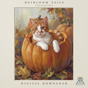 Puede incluir: Un gato atigrado naranja y blanco sentado dentro de una calabaza naranja grande y hueca. La escena muestra hojas de oto&ntilde;o y calabazas adicionales al fondo. El texto en la parte superior dice HEIRLOOM TAILS COLLECTION y DIGITAL DOWNLOAD abajo.