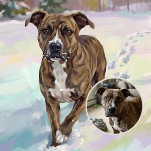 Op de afbeelding: Een digitaal schilderij van een gestroomde hond met een witte borst en snuit in een besneeuwd landschap, met een cirkelvormige inzet die een fotografische referentie toont van dezelfde hond binnenshuis met bruin en wit haar.