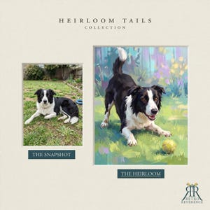 May include: A side-by-side comparison featuring a photograph labeled THE SNAPSHOT of a black and white Border Collie lying on grass, and a digital painting labeled THE HEIRLOOM of the same dog playing with a yellow tennis ball.