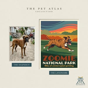 May include: A print titled The Pet Atlas Collection featuring a photograph of a brindle Boxer dog labeled The Snapshot and a stylized graphic illustration of the same dog running, labeled Zoomie National Park, Miles of uninterrupted sprinting.