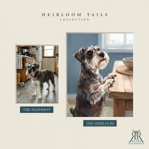May include: A side-by-side comparison featuring a photograph labeled THE SNAPSHOT of a gray and white Schnauzer standing in a kitchen, and a digital painting labeled THE HEIRLOOM of the same dog resting its paws on a wooden table. HEIRLOOM TAILS COLLECTION.