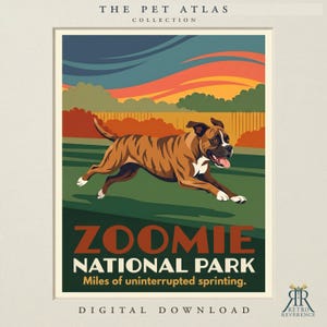 Peut inclure: Une impression d'art num&eacute;rique intitul&eacute;e THE PET ATLAS COLLECTION repr&eacute;sentant un chien Boxer bring&eacute; courant dans un champ vert. Le texte indique ZOOMIE NATIONAL PARK, Miles of uninterrupted sprinting. Le ciel au coucher du soleil est orange et bleu.