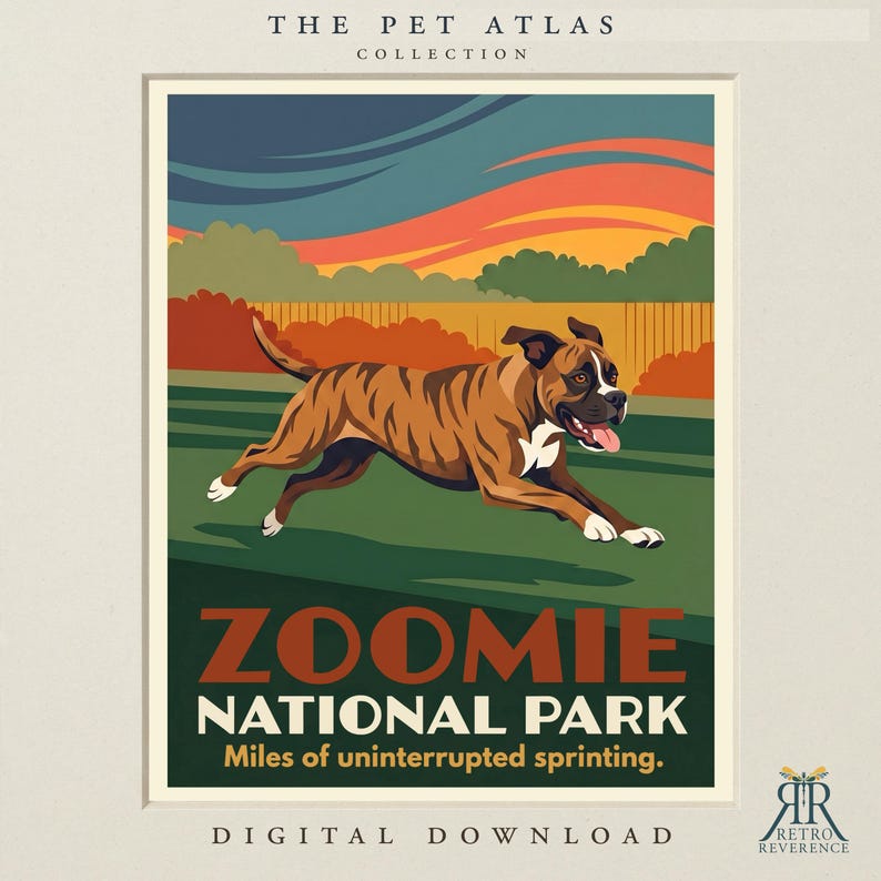 Peut inclure: Une impression d'art num&eacute;rique intitul&eacute;e THE PET ATLAS COLLECTION repr&eacute;sentant un chien Boxer bring&eacute; courant dans un champ vert. Le texte indique ZOOMIE NATIONAL PARK, Miles of uninterrupted sprinting. Le ciel au coucher du soleil est orange et bleu.