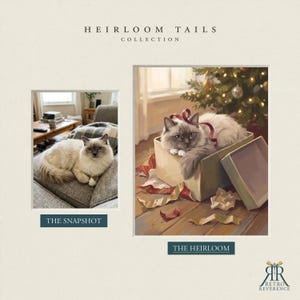 May include: A side-by-side comparison titled HEIRLOOM TAILS COLLECTION. The left panel, THE SNAPSHOT, shows a cream and grey cat on a grey sofa. The right panel, THE HEIRLOOM, is an illustration of the same cat in a gift box near a Christmas tree.
