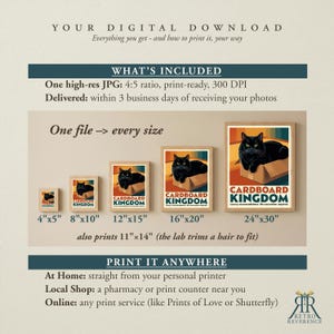 May include: A digital download product listing showing five framed prints of a black cat in a cardboard box labeled Cardboard Kingdom. The image displays sizes 4x5, 8x10, 12x15, 16x20, and 24x30 inches, with text detailing print-ready JPG specifications.