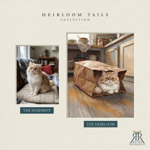 May include: A side-by-side display titled HEIRLOOM TAILS COLLECTION featuring a photograph labeled THE SNAPSHOT of a fluffy ginger and white cat on a cushion, and a painting labeled THE HEIRLOOM of the same cat inside a brown paper bag.