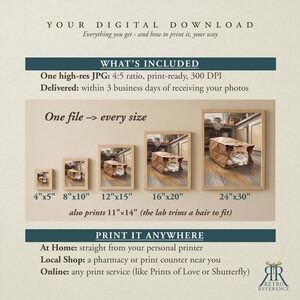 May include: A digital download information graphic featuring five framed prints of a ginger cat inside a paper bag. Text includes: YOUR DIGITAL DOWNLOAD, WHAT'S INCLUDED, One high-res JPG: 4:5 ratio, 300 DPI, One file -> every size, 4"x5", 8"x10", 12"x15", 16"x20", 24"x30", 11"x14", and PRINT IT ANYWHERE.