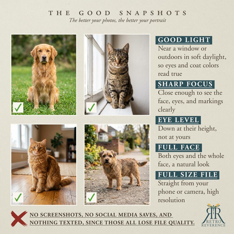 May include: An informational graphic titled THE GOOD SNAPSHOTS with the subtitle The better your photos, the better your portrait. It displays four photographs of pets with green checkmarks and a list of five tips for high-quality pet photography.