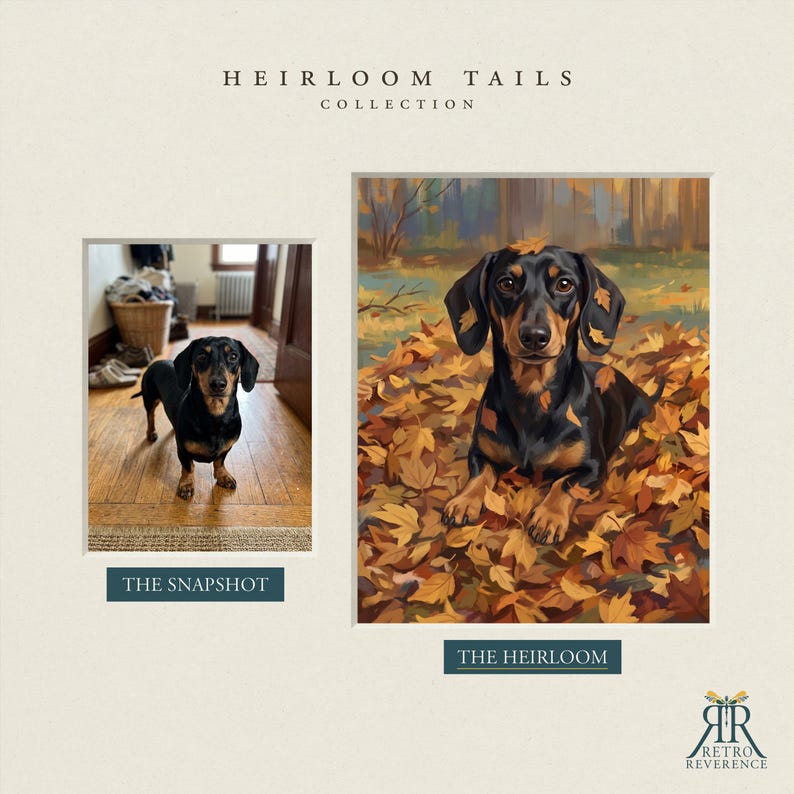 May include: A side-by-side comparison titled HEIRLOOM TAILS COLLECTION. On the left, a photograph labeled THE SNAPSHOT shows a black and tan dachshund on a wooden floor. On the right, a painting labeled THE HEIRLOOM depicts the same dog in autumn leaves.