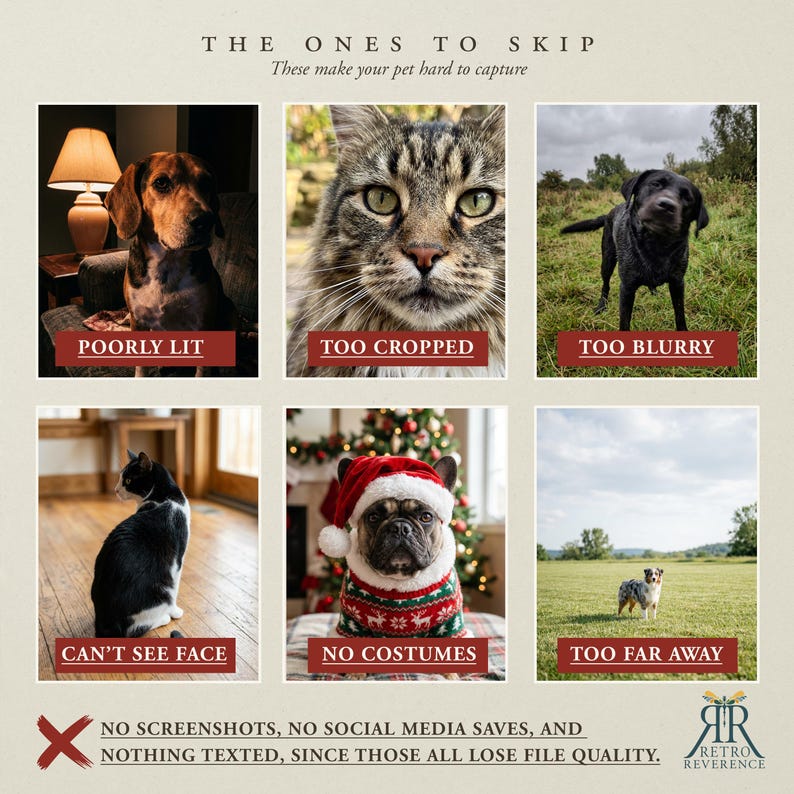 May include: An informational graphic titled THE ONES TO SKIP with six photos showing pet photography mistakes: poorly lit, too cropped, too blurry, can't see face, no costumes, and too far away. Includes text about file quality and a logo.