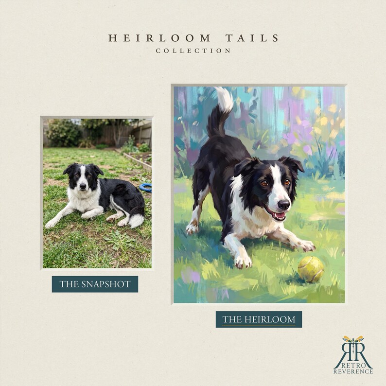 Puede incluir: Una comparaci&oacute;n lado a lado que presenta una fotograf&iacute;a etiquetada como THE SNAPSHOT y una pintura digital etiquetada como THE HEIRLOOM, ambas representando a un perro Border Collie blanco y negro en un jard&iacute;n con una pelota de tenis amarilla, bajo el texto HEIRLOOM TAILS COLLECTION.